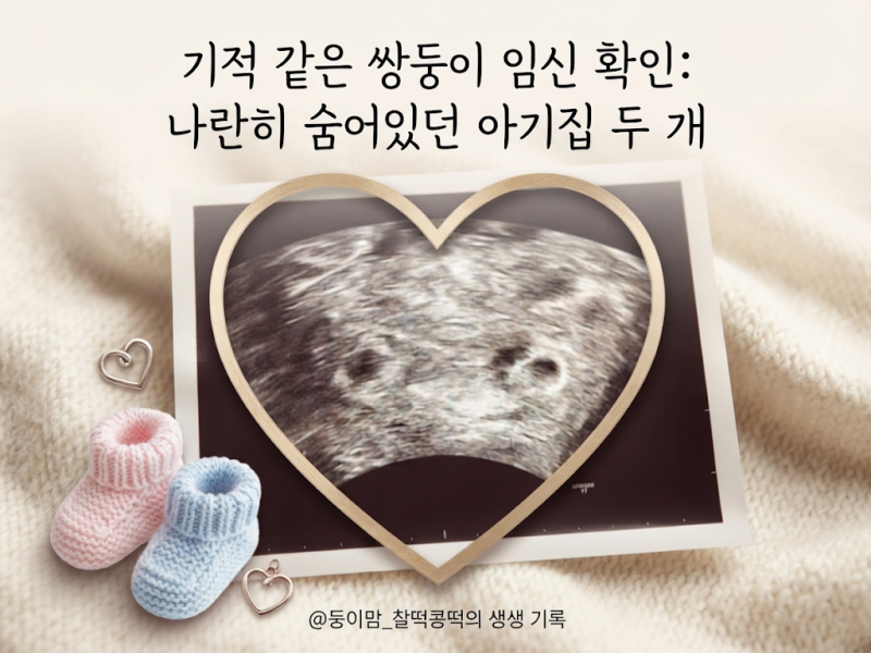 쌍둥이 임신초기 증상과 시험관 3일 배아 피검사 수치 기록