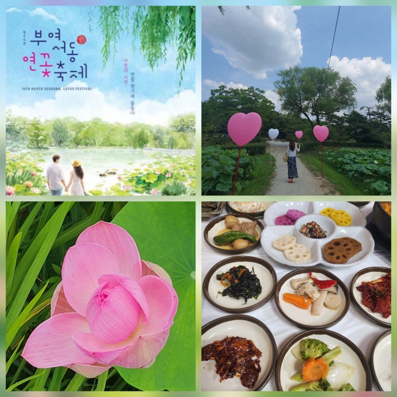 부여연꽃축제 궁남지 주차 일정 가수 스마트팔찌 대전근교 부여 여행 가볼만한곳