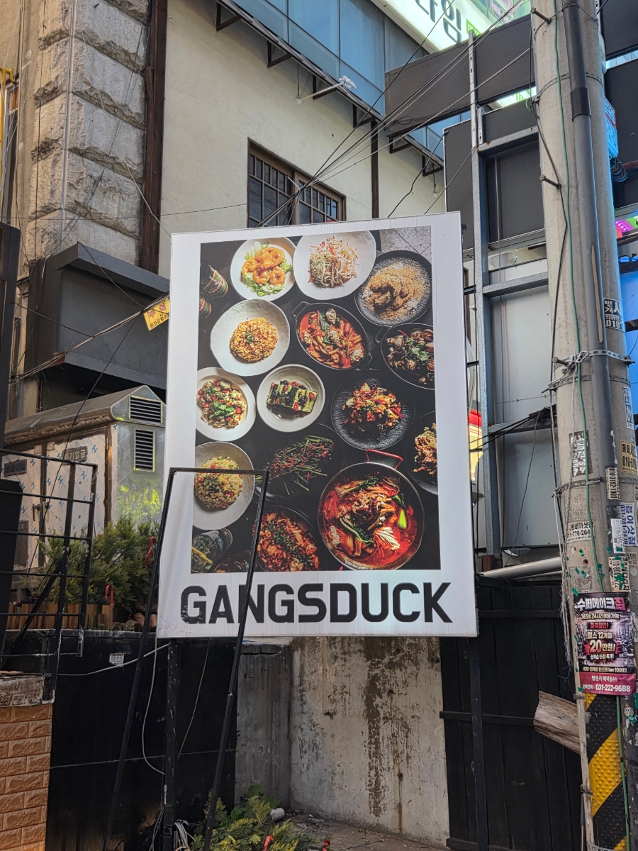 갱스덕 사진 3