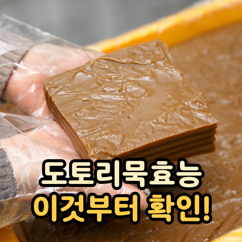 도토리묵효능 5가지, 먹기 전에 이것부터 확인!