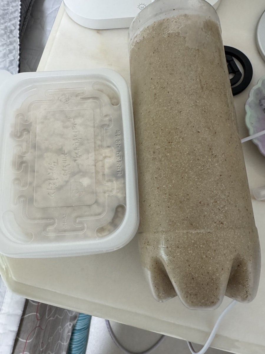 꽃차죽 영월옹심이 사진 6