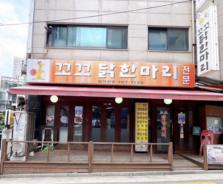꼬꼬닭한마리 사진 1