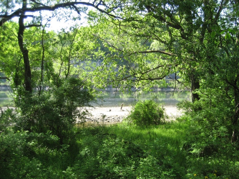 [빈티지디카추천] 캐논 익서스 60(익시 70/ 파워샷 sd600) 작례 모음 | canon ixus 60 (ixy 70/ powershot sd....