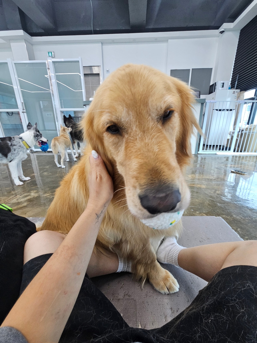 보라눈나 사진 4