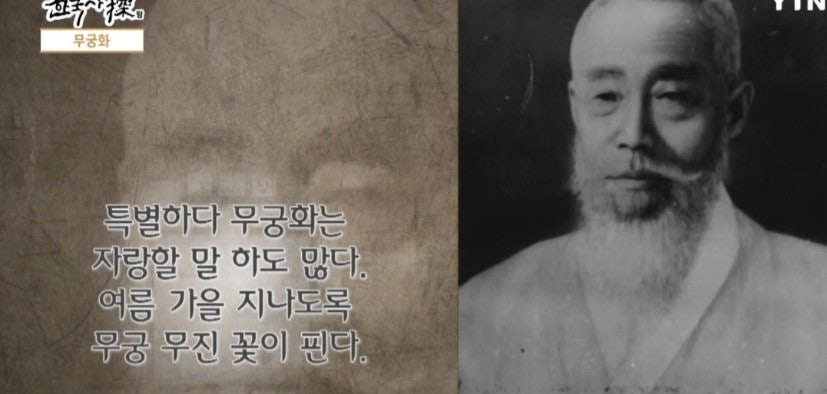 무궁화 사진 2