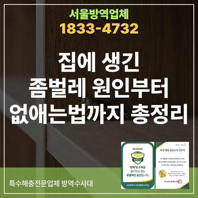 집에 생긴 좀벌레 원인부터 없애는법까지 총정리