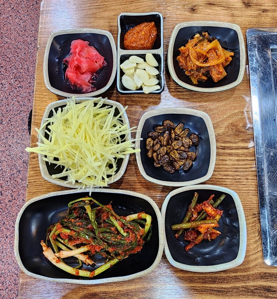 강변민물장어 사진 4