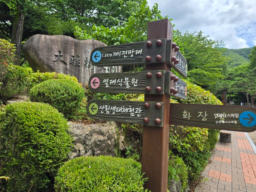 대아수목원 제2전망대 사진 3