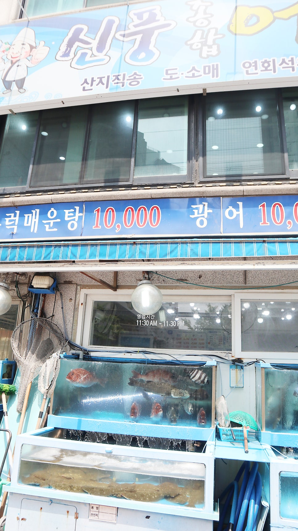신풍종합어시장 사진 6