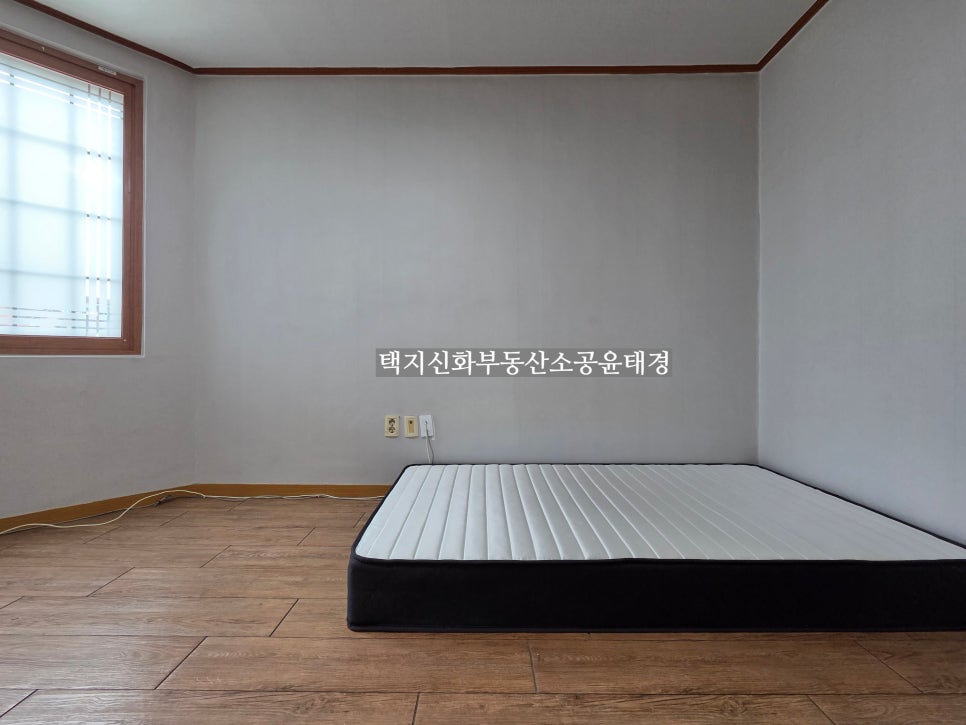 돈비촌 사진 5