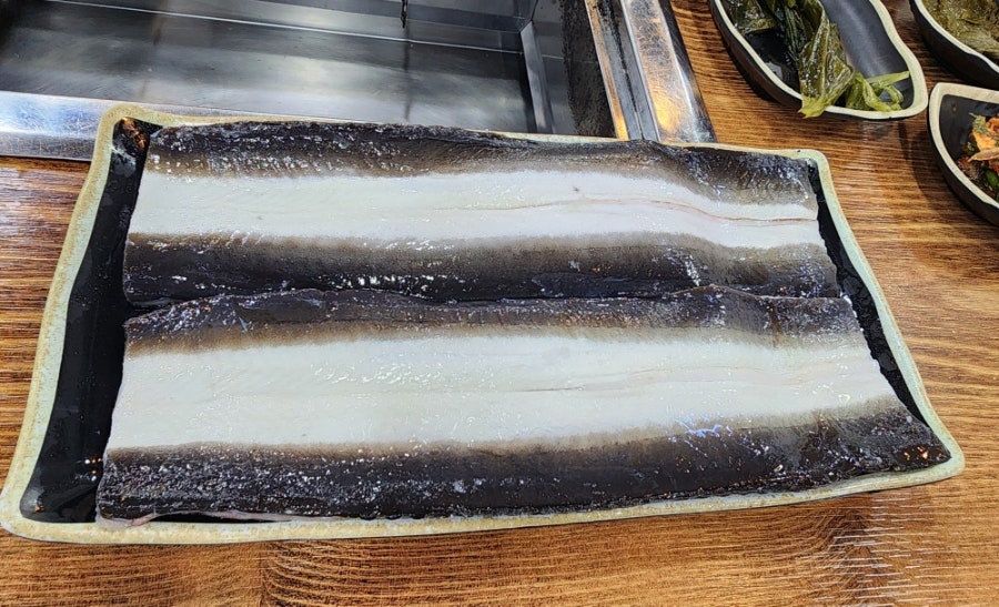 강변민물장어 사진 5