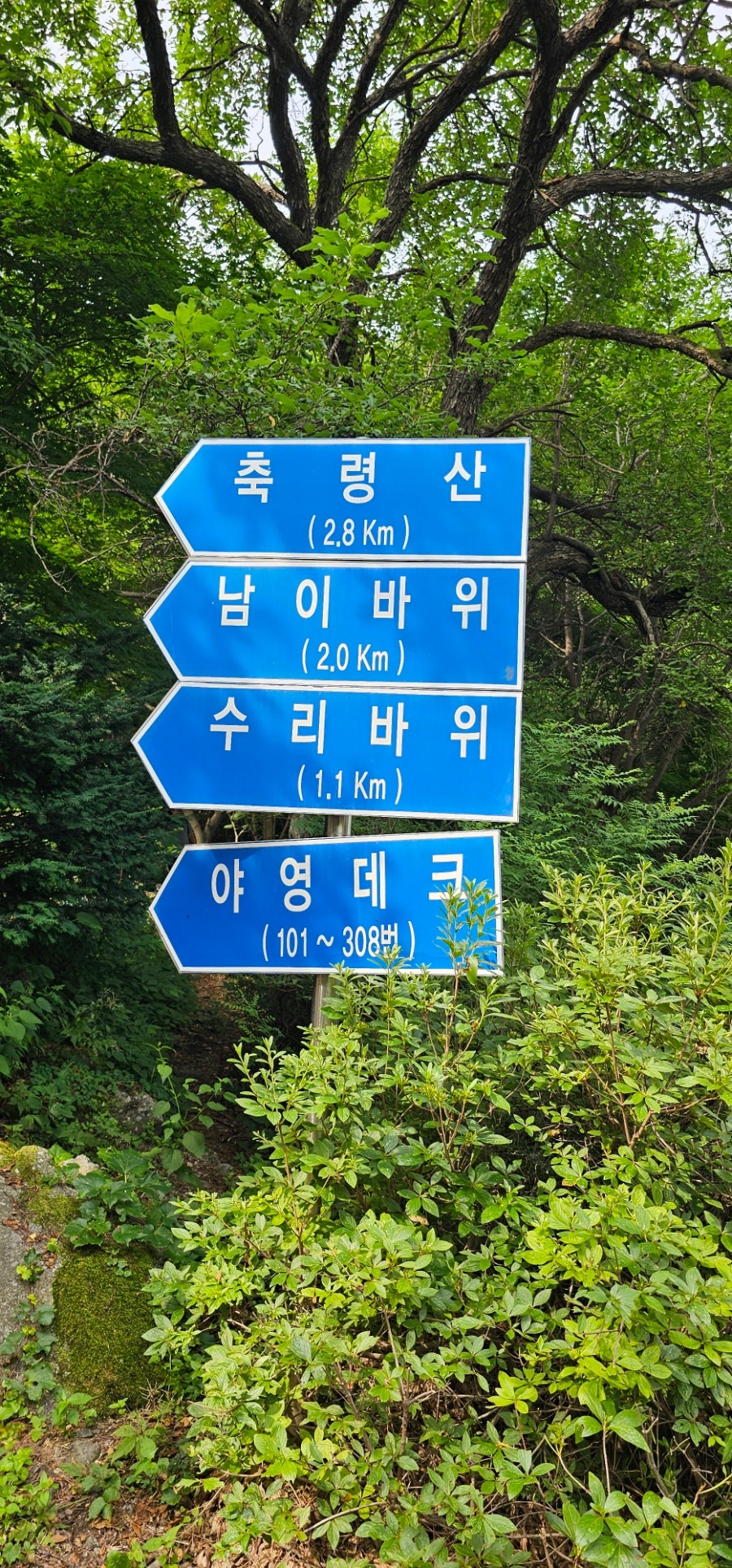 절골 사진 4