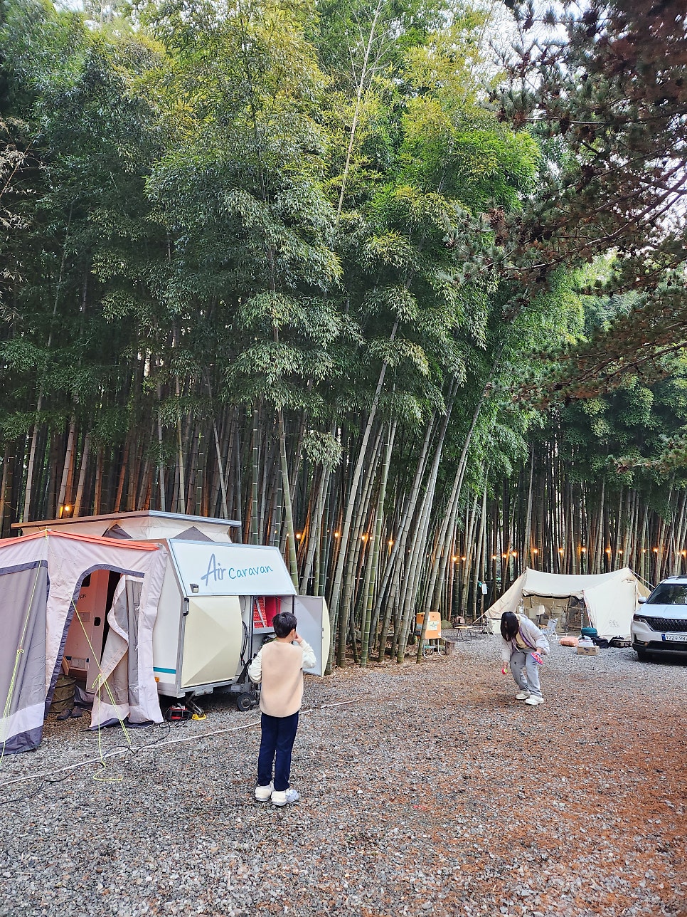 대나무골 사진 1