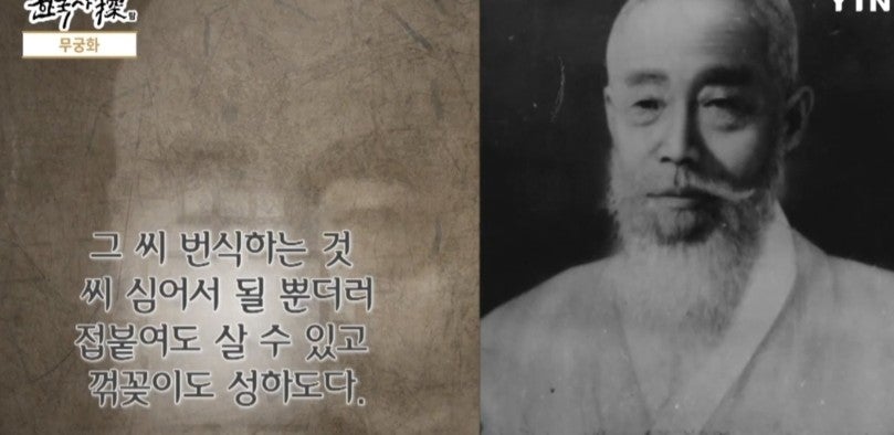 무궁화 사진 3