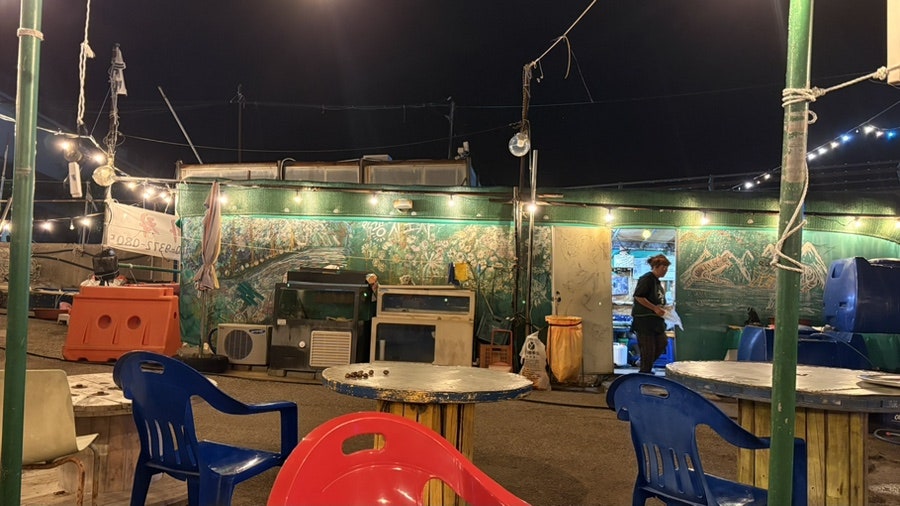 꽁지마차 사진 3
