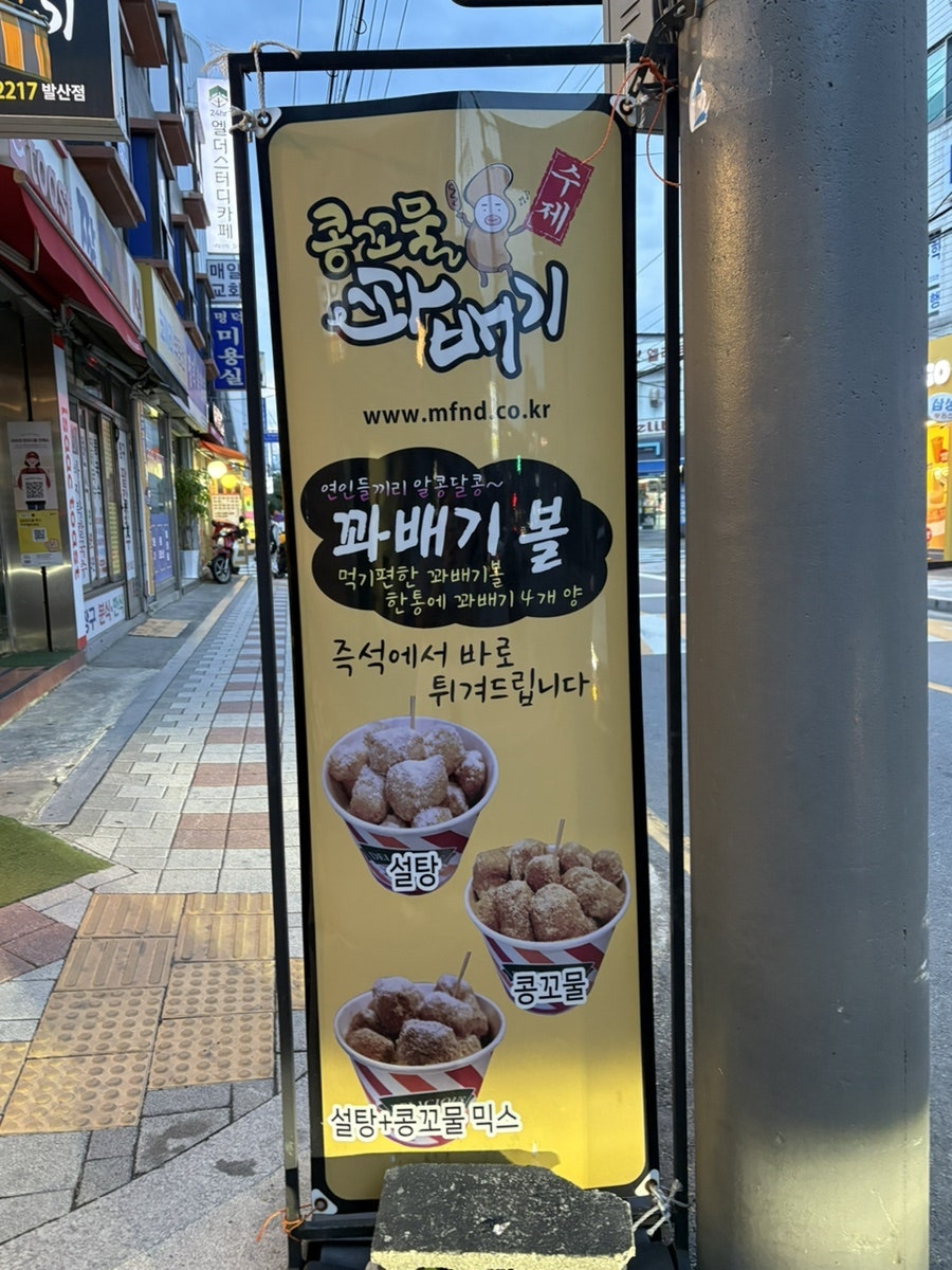콩꼬물꽈배기 발산점 사진 6