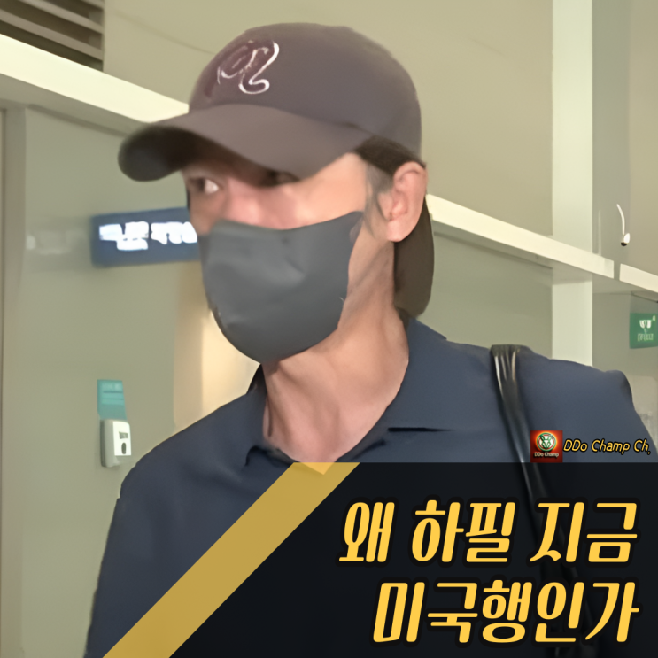 "왜 하필 지금 <b>미국행</b>인가" <b>홍명보</b> 감독 돌연 출국 배경은