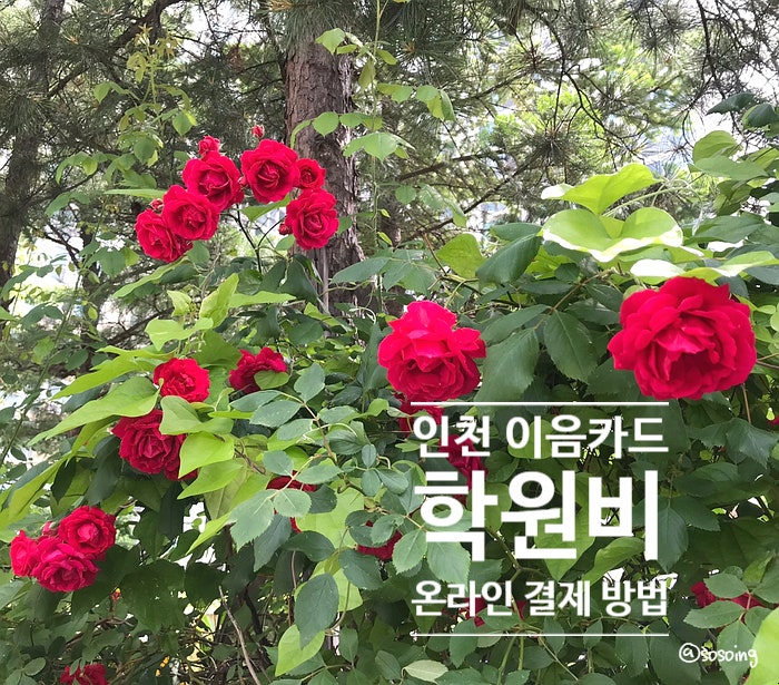인천 이음카드로 학원비 온라인 결제하는 방법 (feat. 결제선생)