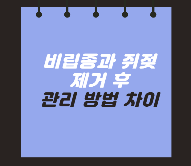 비립종과 쥐젖 제거 후 관리 방법이 다른가요? 제거 후 이것 모르면 흉터 남습니다