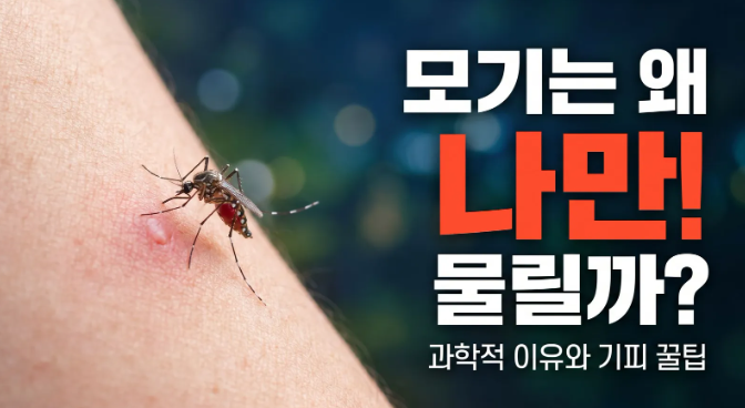 여름철 모기는 왜 유독 나만 물까? 과학적 체질 분석과 모기 퇴치법