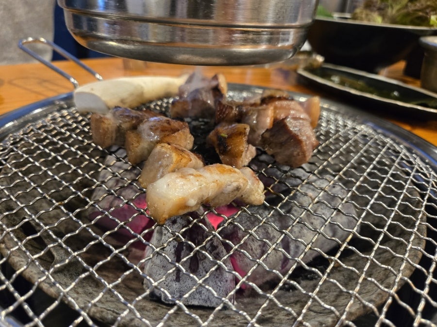 흑생 사진 5