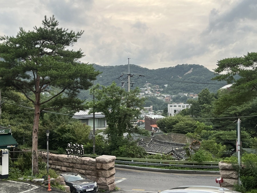 아델라베일리 사진 3