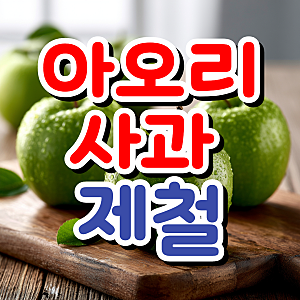 아오리 사과 제철 시기  뜻 비교 보관 팁까지