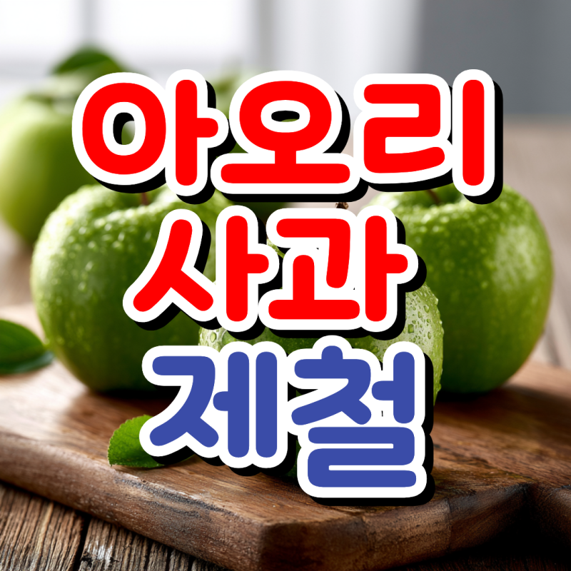 아오리 사과 제철 시기  뜻 비교 보관 팁까지