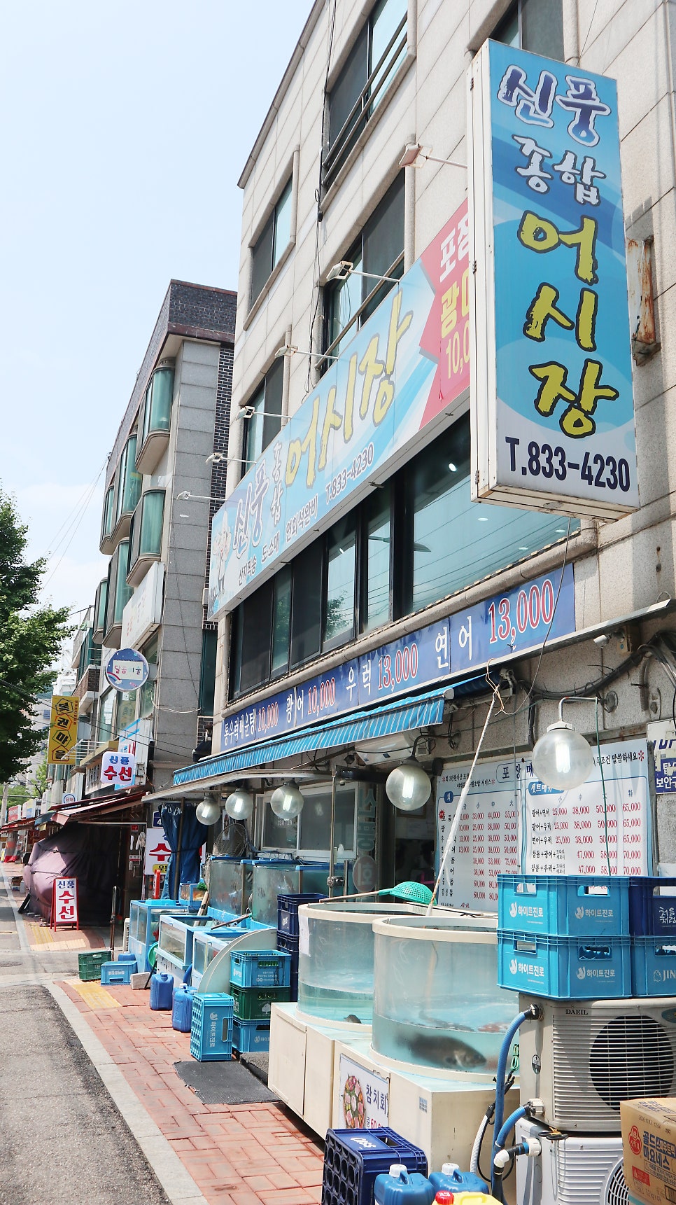 신풍종합어시장 사진 1