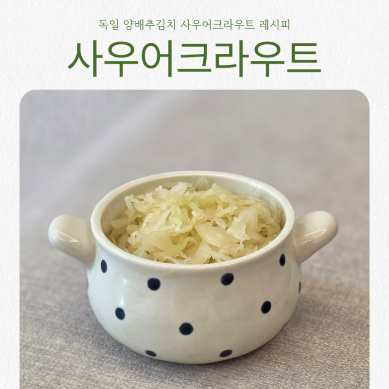 독일 발효 양배추김치 사우어크라우트 레시피