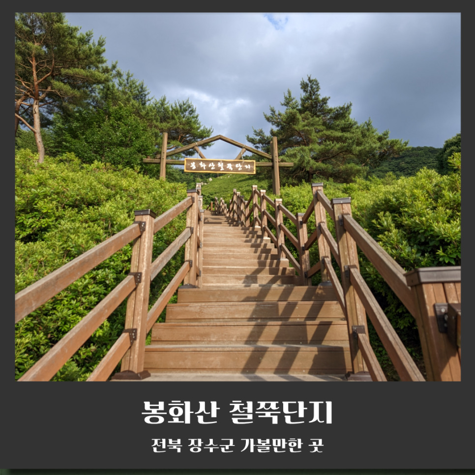 봉화산 사진 6