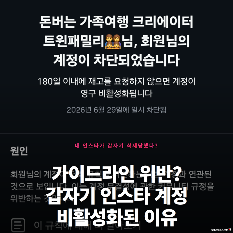 인스타 비활성화 해결방법 및 기간 총정리! 인스타 계정 잠김 복구 후기