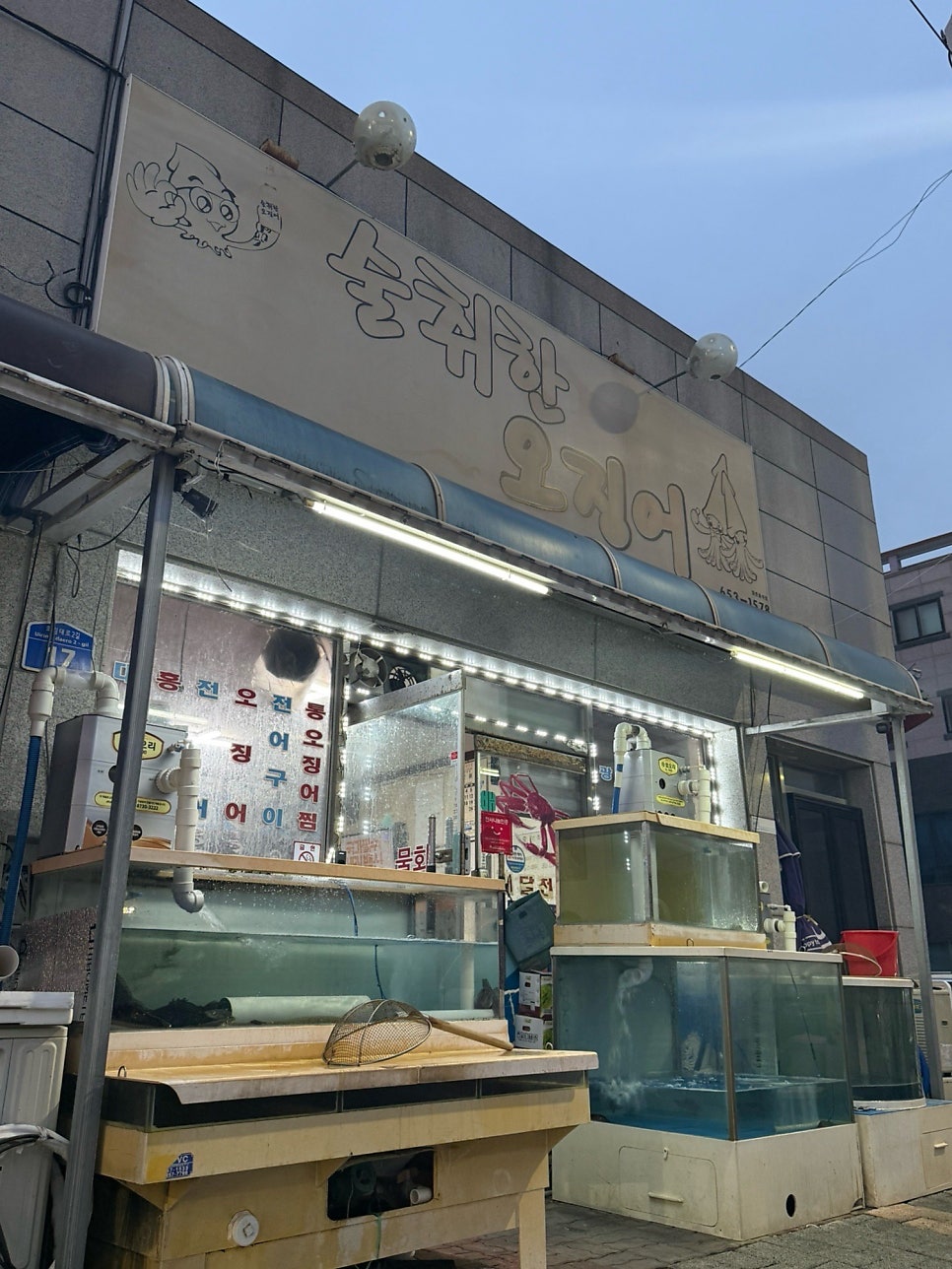 술취한오징어 사진 1