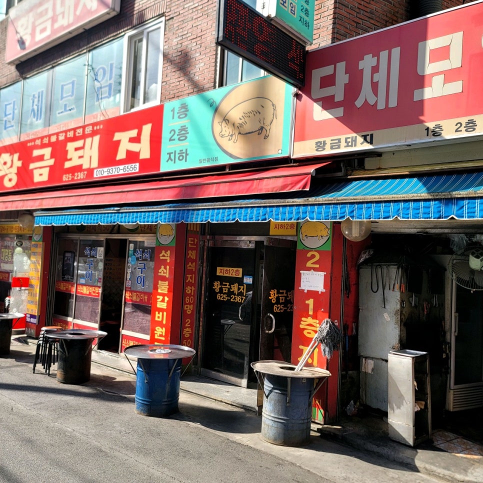 황금돼지 사진 1