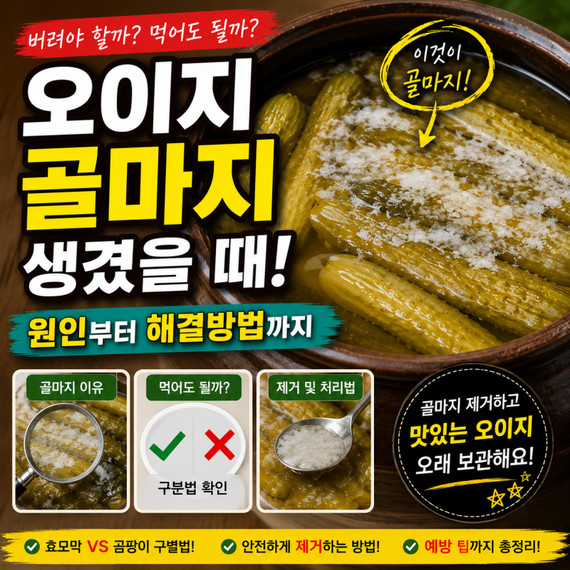 오이지 골마지 생겼을 때 해결방법! 먹어도 될까? 제거법