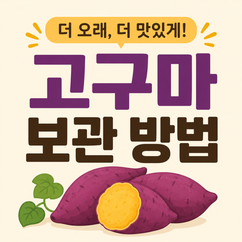 고구마 보관방법 총정리 | 이 포스팅 하나면 끝! 계절별 오래 두고 먹는 꿀팁