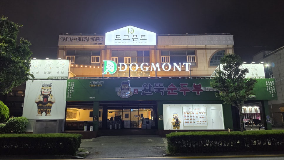 제갈견동물병원 사진 4