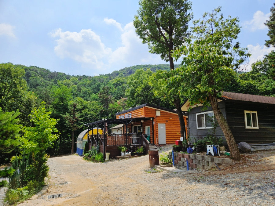 용인자연숲캠핑장 사진 3