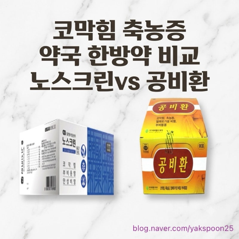 코막힘 부비동염 약국 한방약 비교 : 공비환 vs 갈근탕가천궁신이(노스크린엑스과립) - 약사....
