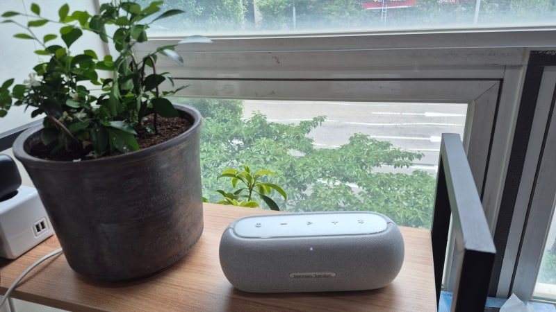 블루투스스피커 하만카돈 루나 구매후기 I Bose SoundLink Flex 2와 끝까지 고민한 이유