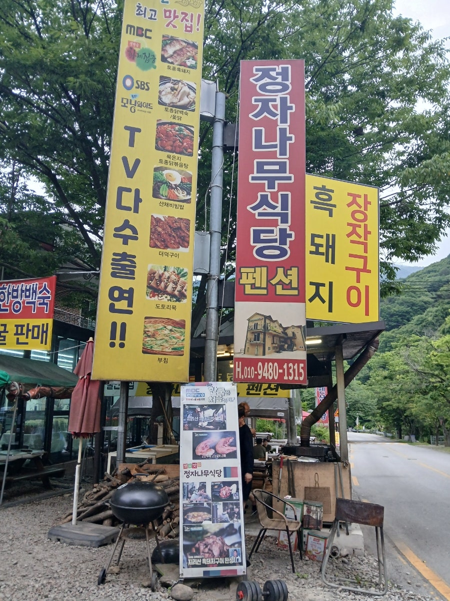 정자나무식당 사진 4