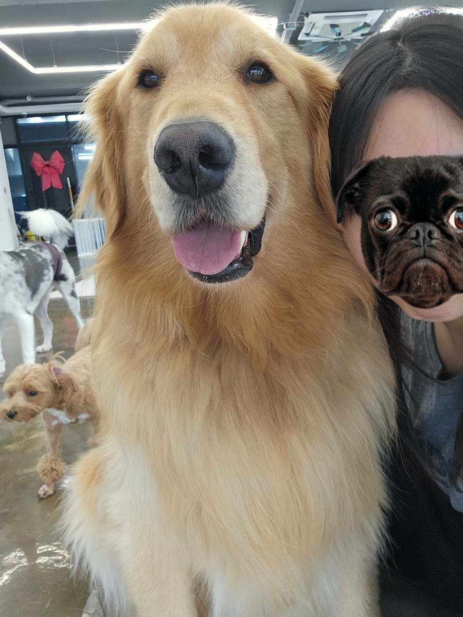 보라눈나