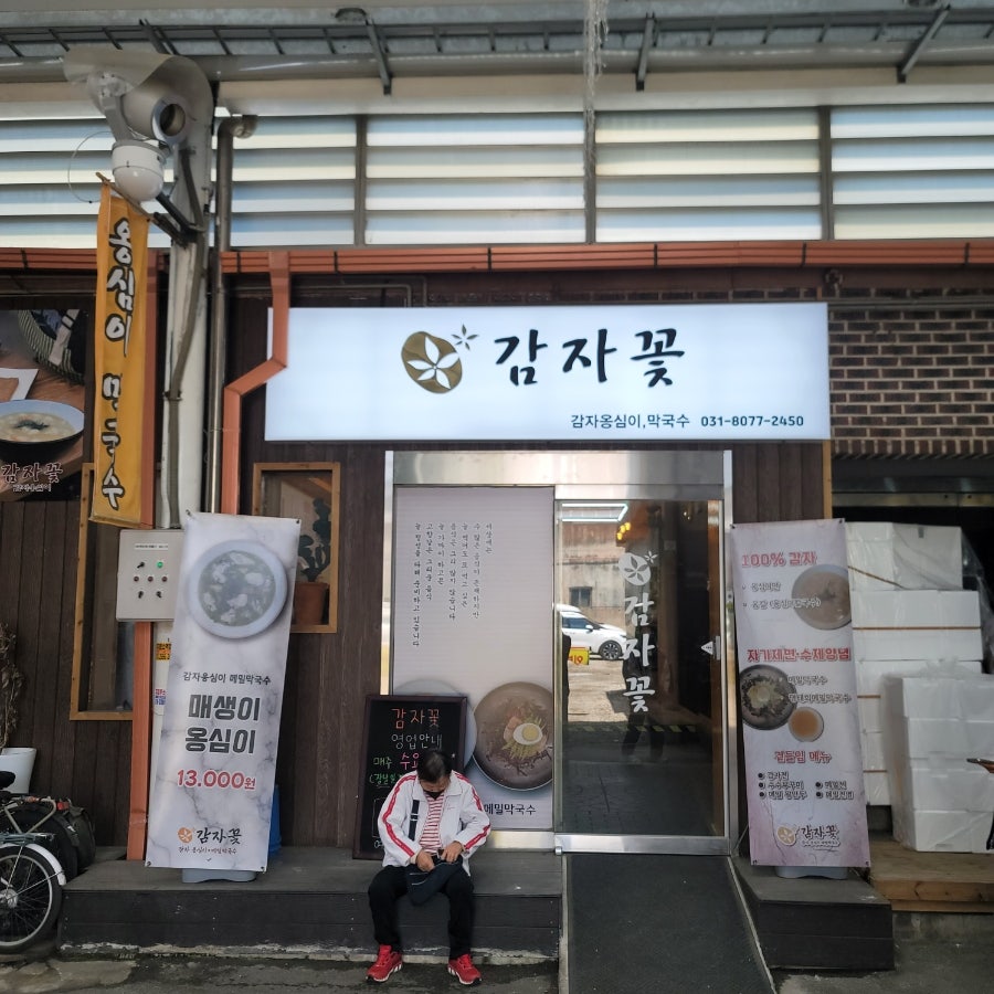 감자꽃 사진 2