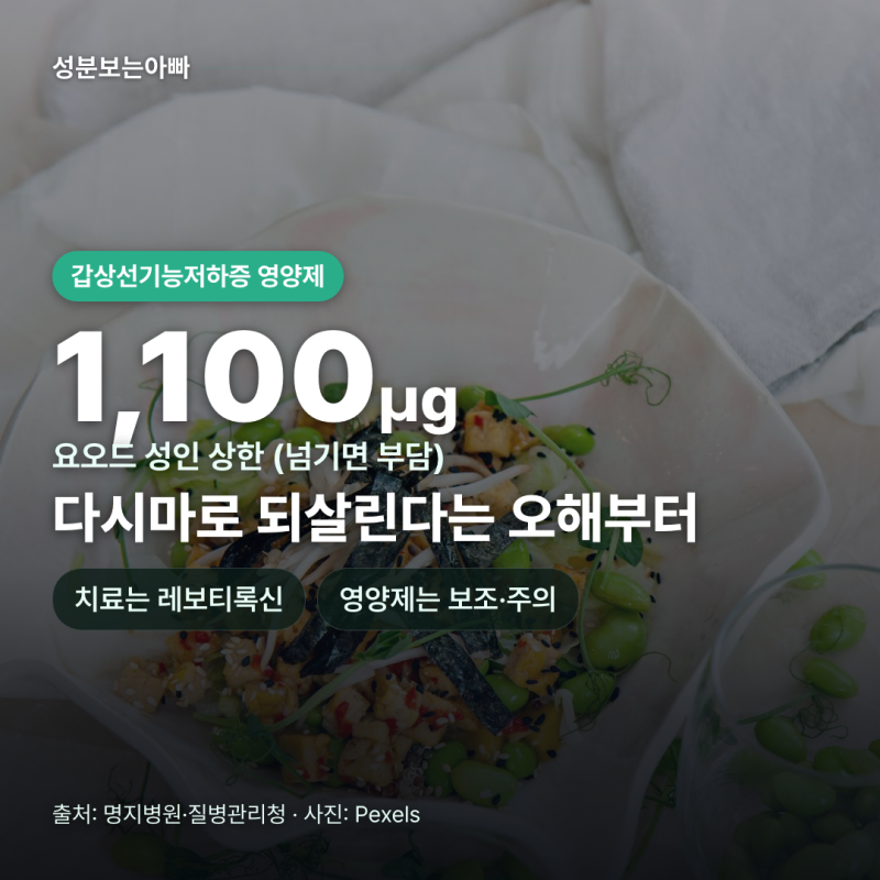 갑상선기능저하증 영양제, 요오드·다시마 오해와 레보티록신 흡수 주의