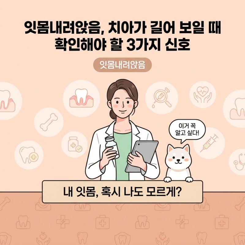 잇몸내려앉음, 치아가 길어 보일 때 확인해야 할 3가지 신호
