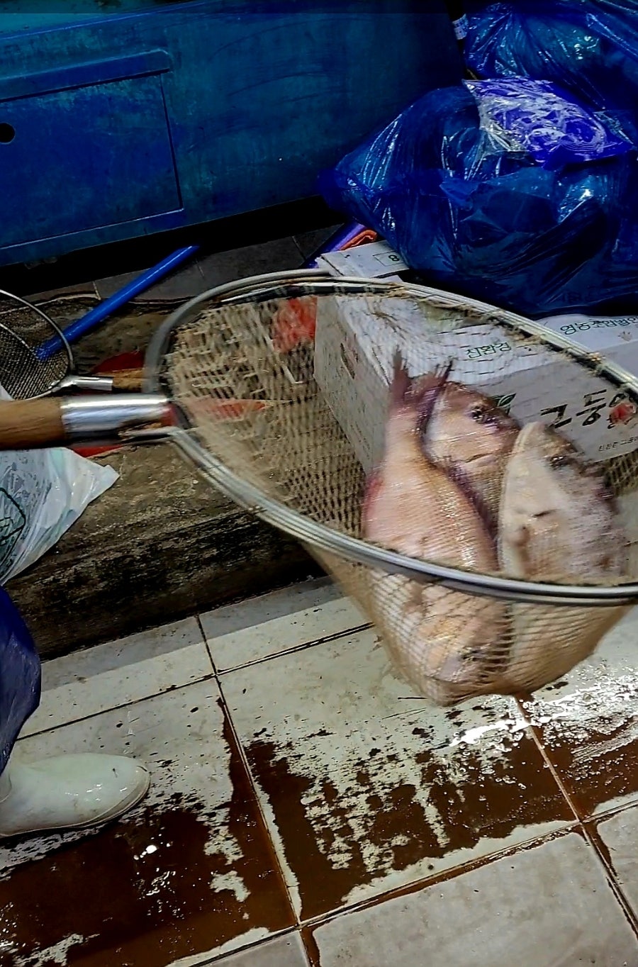 새벽시장 사진 2