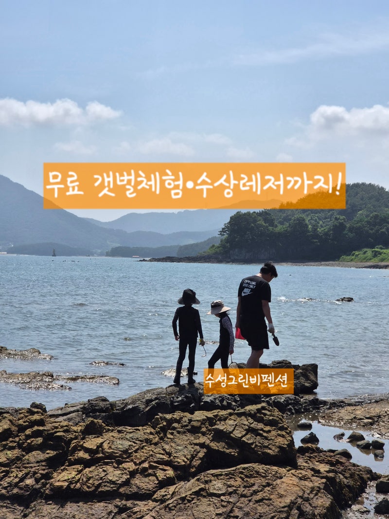 경남 고성 수영장 펜션 수성그린비, 무료 갯벌체험부터 수상레저 동물농장까지