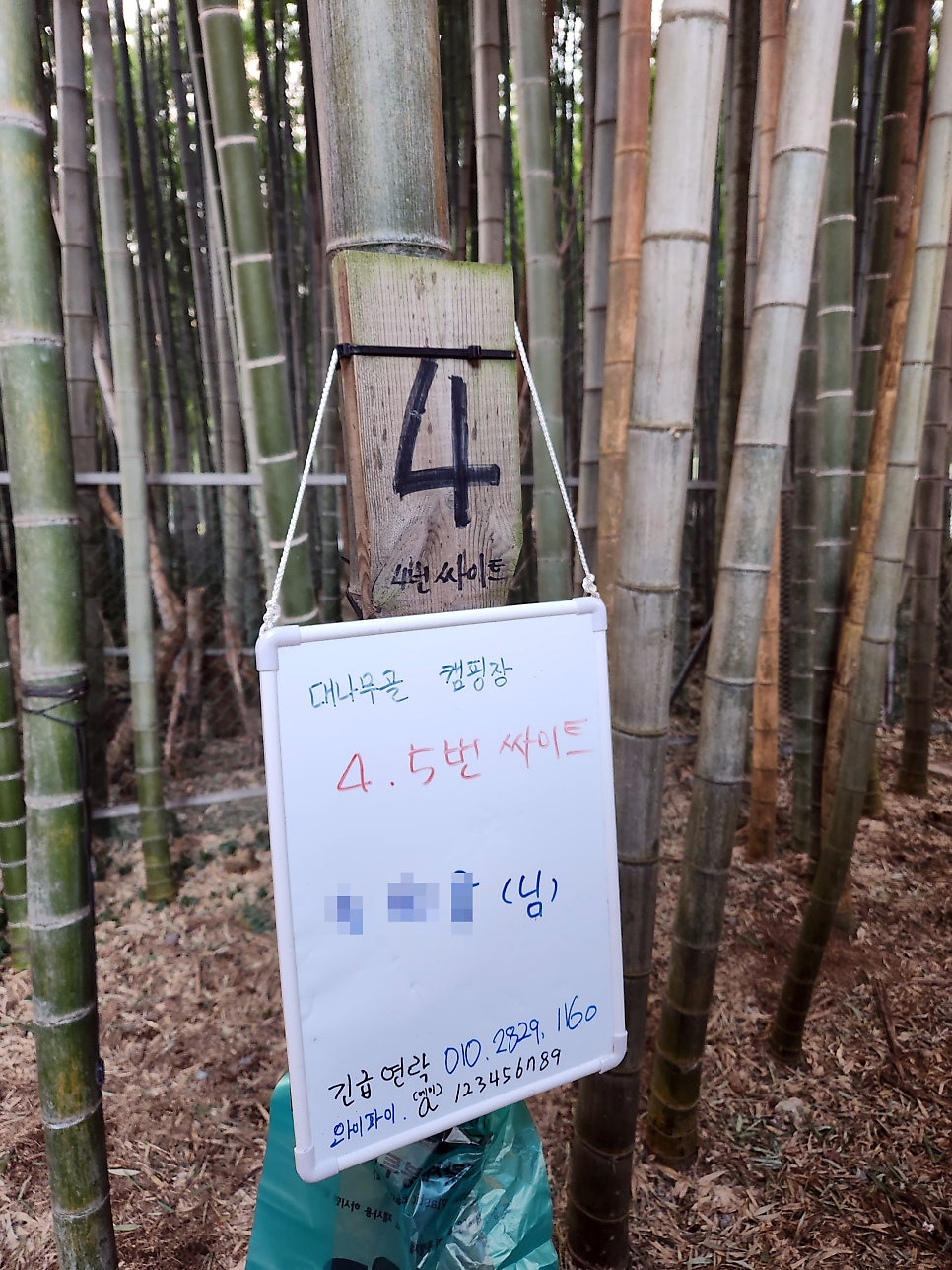 대나무골 사진 2