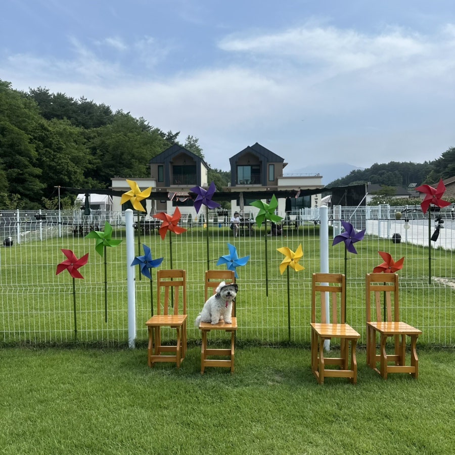 오구커피 사진 1