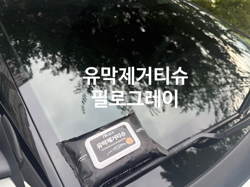 셀프 세차 필수템! 필로그레이 유막제거 티슈로 자동차 앞유리 유막제거